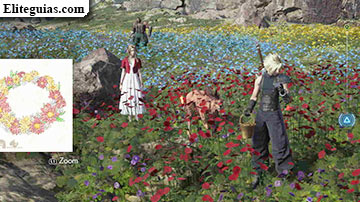 Flores para una corona