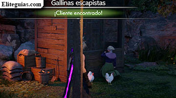 Gallinas escapistas