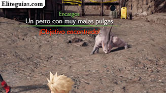Un perro con muy malas pulgas