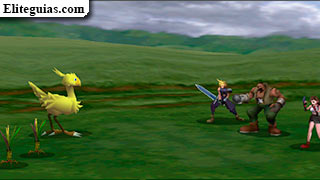 Chocobo