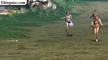 &iexcl;A por el chocobo!