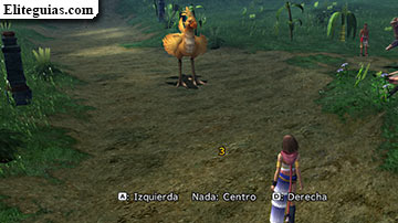 &iexcl;A por el chocobo!