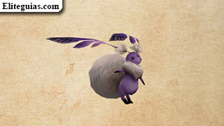 Furia