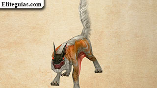 Lobo