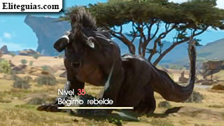 Bégimo rebelde