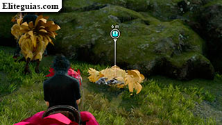 chocobos entre lobos