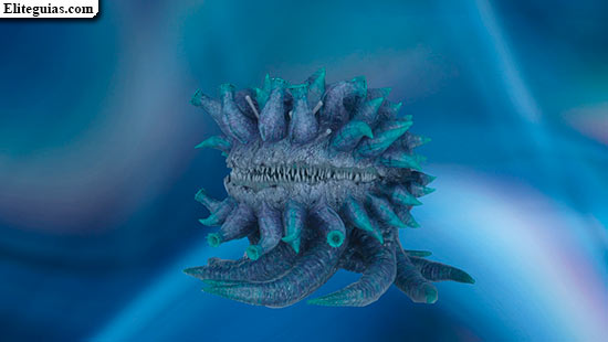 Cogollo de molbol