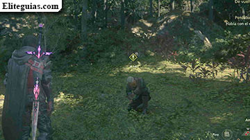 Perdido en el bosque