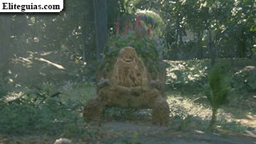 Perdido en el bosque