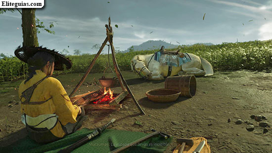 Acampar