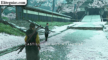 Ecos de la tormenta