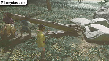 El camino de la katana doble