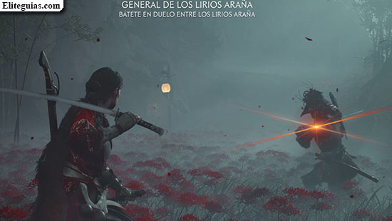 El general de los lirios ara&ntilde;a