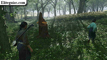 La &uacute;ltima cacer&iacute;a del onryo