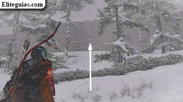 Pena en la nieve