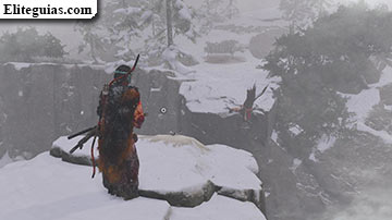 Pena en la nieve