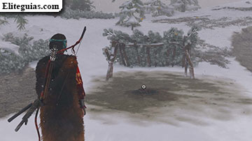 Pena en la nieve