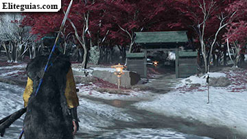 Sangre en la nieve