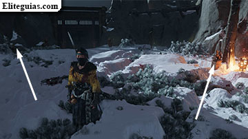 Sangre en la nieve