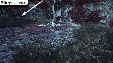 Sangre en la nieve