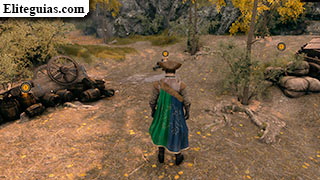 Ataque a las caravanas