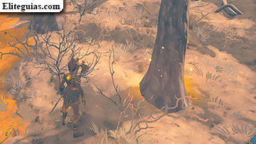 árbol con ámbar