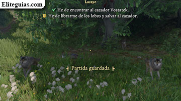 Lacayo