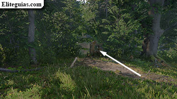 Libertad y fraternidad
