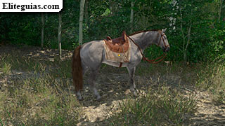 El caballo que se escapó