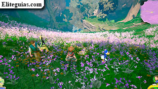 campo de flores