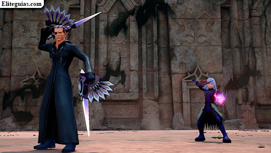 Organización XIII