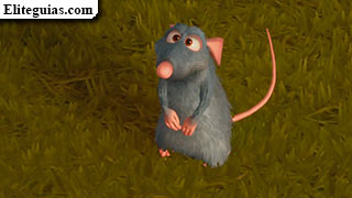 Ratatouille