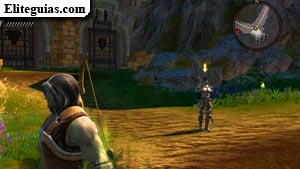 Gwyn Anwy