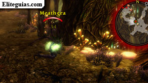 Meathgra