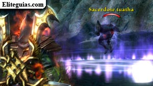 Sacerdote Tuatha
