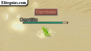 Cactilio