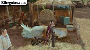 chocobo