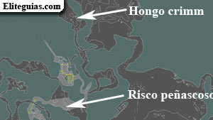 Hongo crimm