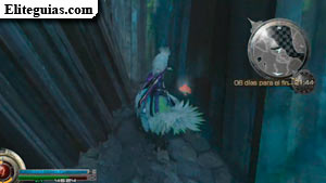 Hongo crimm