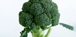 br&oacute;coli