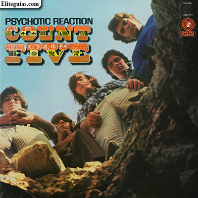 Psychotic Reaction Count Five
