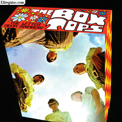 The Box Tops The Letter Neon Rainbow