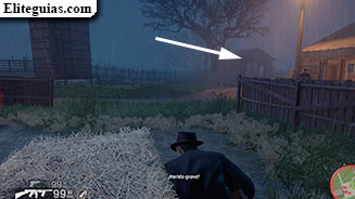 zorro misterioso