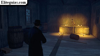 zorro misterioso