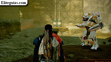N7: Excavar el ca&ntilde;&oacute;n