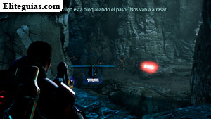 grupo de Dagg