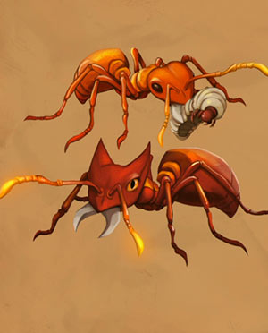 Hormigas