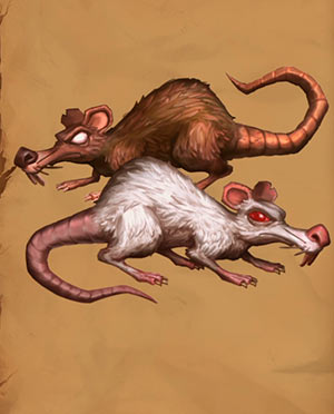 Ratas