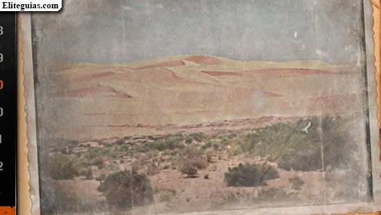 Postal 14