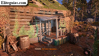 Postal 17